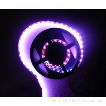 LED Strip 3528SMD60 LED BLACK PCB  WATERPROOF
